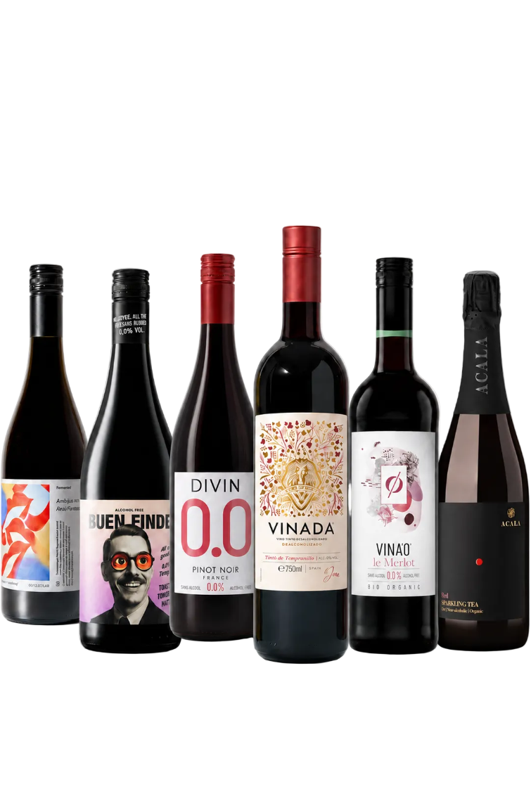 MIXED BOX Alcohol-Free Red Favourites - 6 red wines for different occasions. Explore, taste, and pair with your favourite food