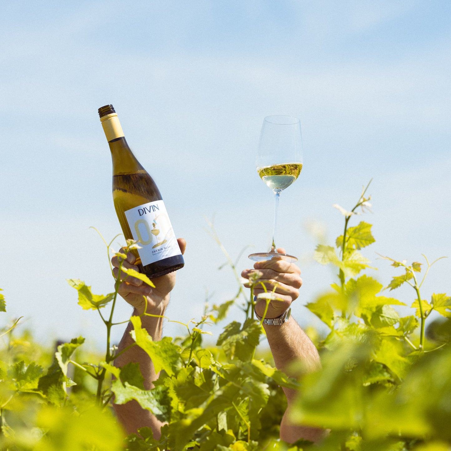 DIVIN Origine Alkoholfri Chenin Blanc, 750 ml.