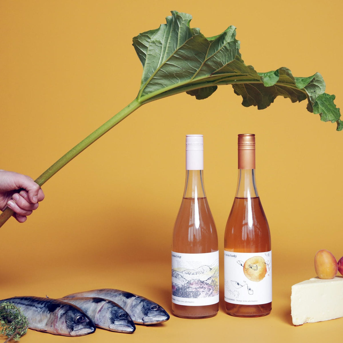 GNISTA Funky Orange wine alternative
