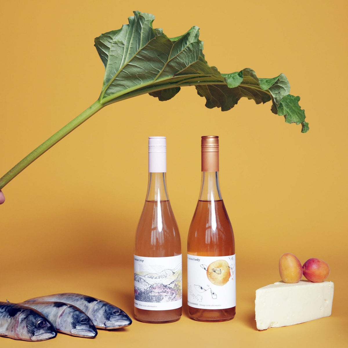 GNISTA Crisp White wine alternative
